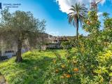 Casa, ACIREALE, 480.000 €, 555,00 mq