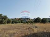 Particella, NOTO, 64.000 €, 12500,00 mq