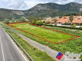 Particella, FONDI, 50.000 €, 9493,00 mq