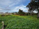 Particella, PALERMO, 179.000 €, 1300,00 mq