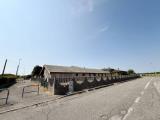 Particella, NOGARA, 110.000 €, 1119,00 mq