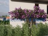 Casa, TORRI DI QUARTESOLO, 340.000 €, 170,00 mq