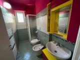 Affitto, Appartamento, FIRENZE, 1.100 €, 50,00 mq