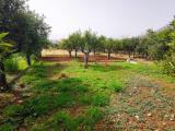 Affitto, Particella, PALERMO, 600 €, 600,00 mq