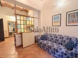 Affitto, Appartamento, SIENA, 600 €, 50,00 mq