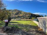 Particella, SESSA AURUNCA, 17.000 €, 4700,00 mq