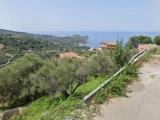 Particella, CAPO D