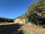 Particella, PALESTRINA, 79.000 €, 10000,00 mq