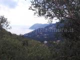 Particella, ALASSIO, 95.000 €, 2620,00 mq