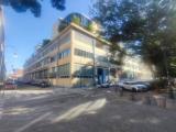 Affitto, Superfici commerciali, TORINO, Regio Parco, 1.500 €, 130,00 mq