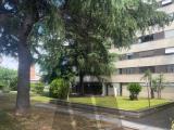 Appartamento, ROMA, 225.000 €, 109,00 mq