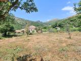 Particella, MARATEA, 77.000 €, 562,00 mq