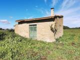Particella, TUSCANIA, 55.000 €, 25025,00 mq