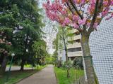 Appartamento, CORSICO, 159.000 €, 55,00 mq
