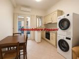 Affitto, Appartamento, VELLETRI, 400 €, 35,00 mq