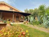 Casa, CIAMPINO, 199.000 €, 150,00 mq
