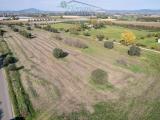 Particella, MONTALTO DI CASTRO, 100.000 €, 30000,00 mq