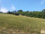 Particella, ANCONA, 50.000 €, 21000,00 mq