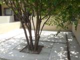 Affitto, Appartamento, SOVERATO, 1.500 €, 65,00 mq