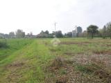 Particella, BOLOGNA, 35.000 €, 608,00 mq