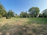Particella, FORLIMPOPOLI, 160.000 €, 1600,00 mq
