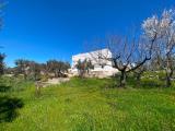 Casa, CISTERNINO, 230.000 €, 264,00 mq