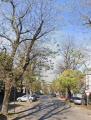 Appartamento, CREMONA, <i>A richiesta</i>, 917,00 mq