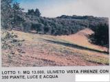 Particella, LASTRA A SIGNA, 90.000 €, 23000,00 mq