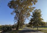 Appartamento, PIACENZA, 363.000 €, 110,00 mq