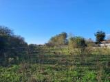 Particella, SOMMA VESUVIANA, 100.000 €, 10000,00 mq