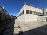 Affitto, Superfici commerciali, VEGGIANO, 11.000 €, 2200,00 mq