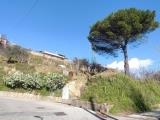 Particella, SALERNO, 45.000 €, 3180,00 mq