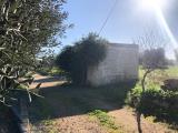 Particella, MONOPOLI, 120.000 €, 14089,00 mq