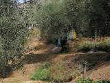 Casa, LUCCA, 90.000 €, 100,00 mq