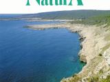 Appartamento, NARDÒ, Santa Caterina, <i>A richiesta</i>, 50,00 mq
