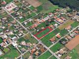 Particella, ANZIO, 59.000 €, 2929,00 mq