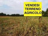 Particella, VICENZA, 49.000 €, 9800,00 mq