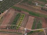 Particella, LAMEZIA TERME, 14.000 €, 1500,00 mq