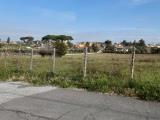 Particella, FRASCATI, 200.000 €, 14000,00 mq