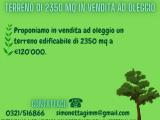 Particella, OLEGGIO, 120.000 €, 2350,00 mq