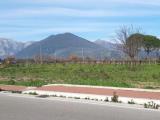 Particella, SAN SALVATORE TELESINO, 35.000 €, 1800,00 mq