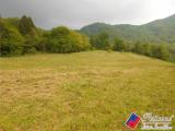 Particella, FONDI, 200.000 €, 25000,00 mq