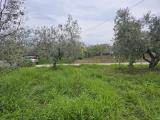 Particella, VASTO, 55.000 €, 880,00 mq