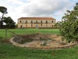 Superfici commerciali, SCANZANO JONICO, <i>A richiesta</i>, 2765,00 mq