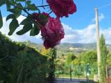 Casa, BUGGIANO, 370.000 €, 210,00 mq