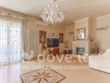 Superfici commerciali, RUTIGLIANO, 245.000 €, 150,00 mq