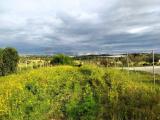 Particella, POZZALLO, 155.000 €, 2500,00 mq
