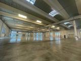 Affitto, Superfici commerciali, STRADELLA, 4.000 €, 1200,00 mq