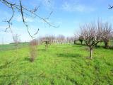 Particella, CARONNO PERTUSELLA, 34.000 €, 2400,00 mq