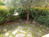 Casa, PISTOIA, 390.000 €, 205,00 mq